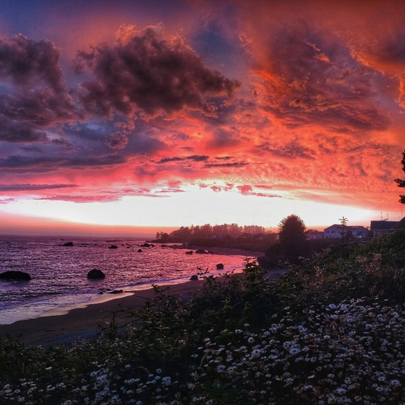 Meet your Posher, Shane - Picture 3 of 4